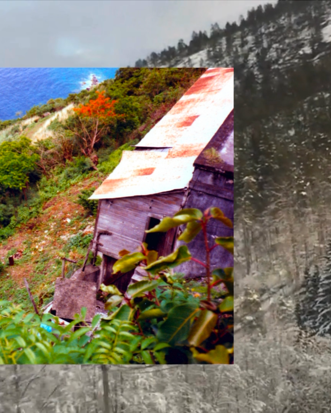 Homelands :: Landlines 3 dionne elizabeth .png