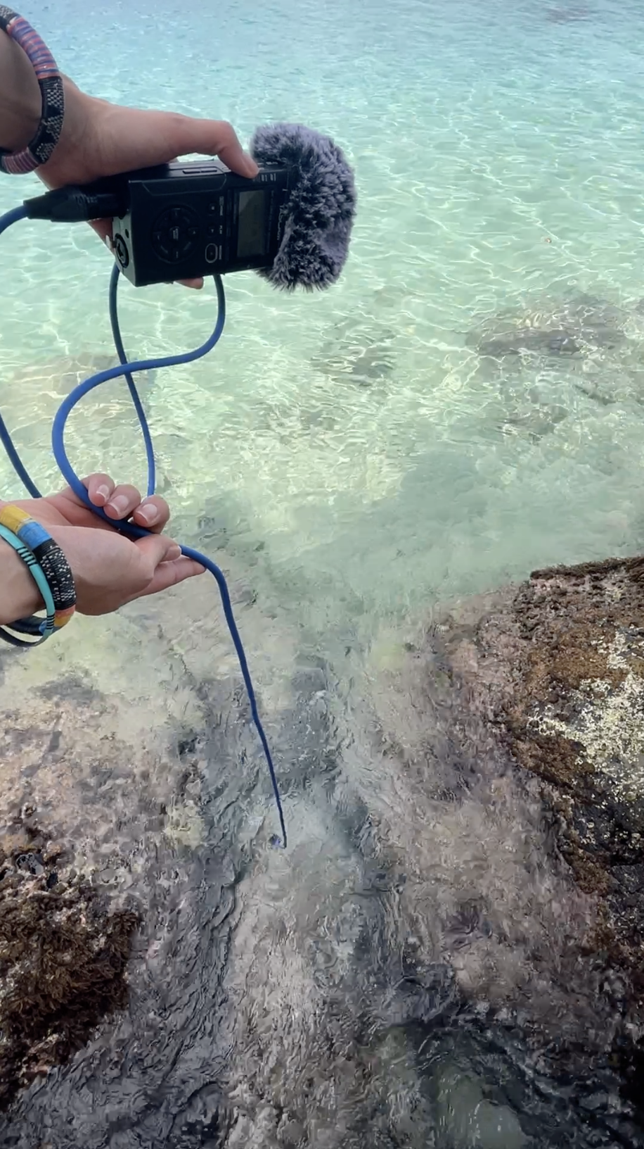 Bequia sound recordings dionne elizabeth .png