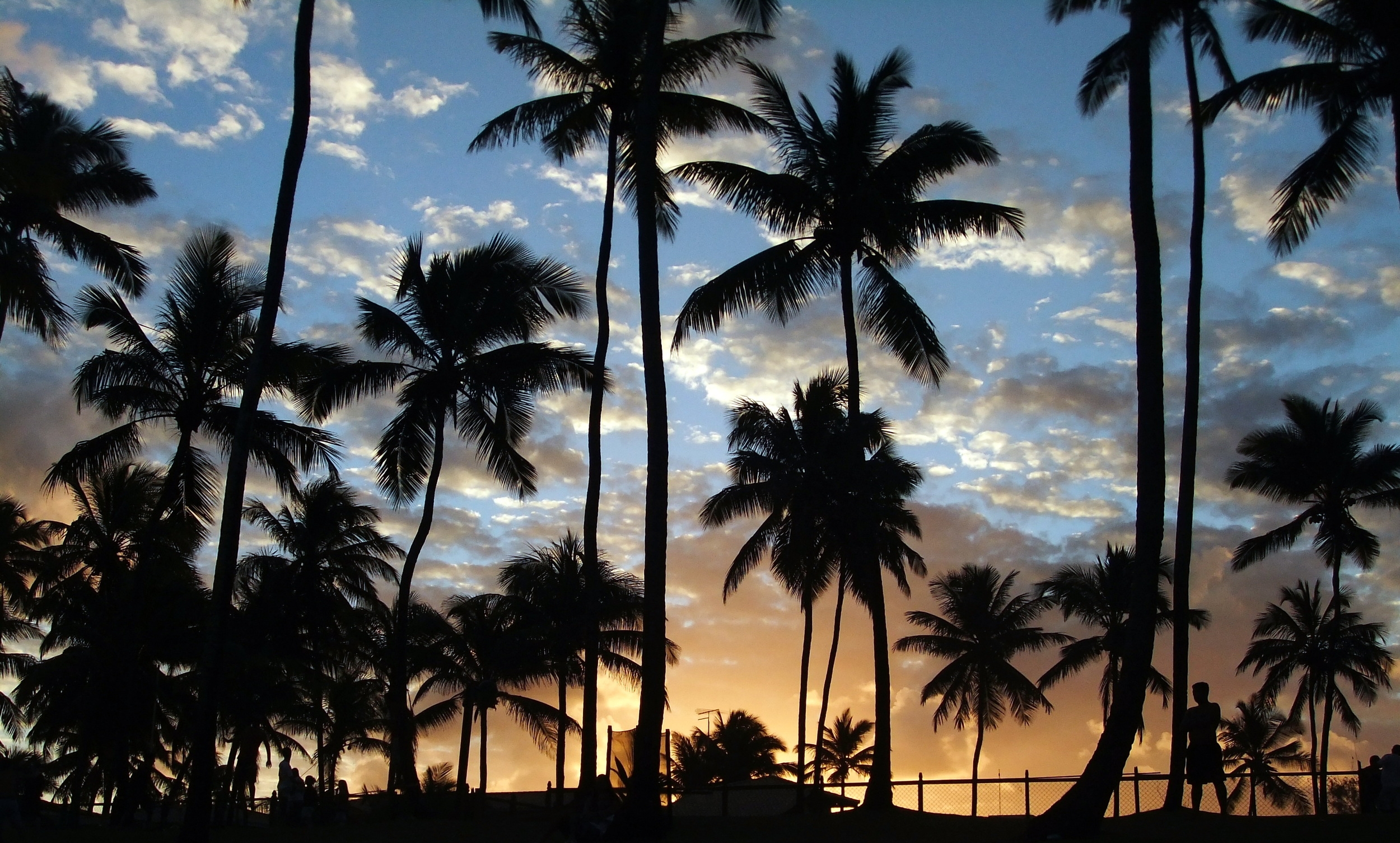 139-Brazil Summer 2013 (HQ) 443.JPG