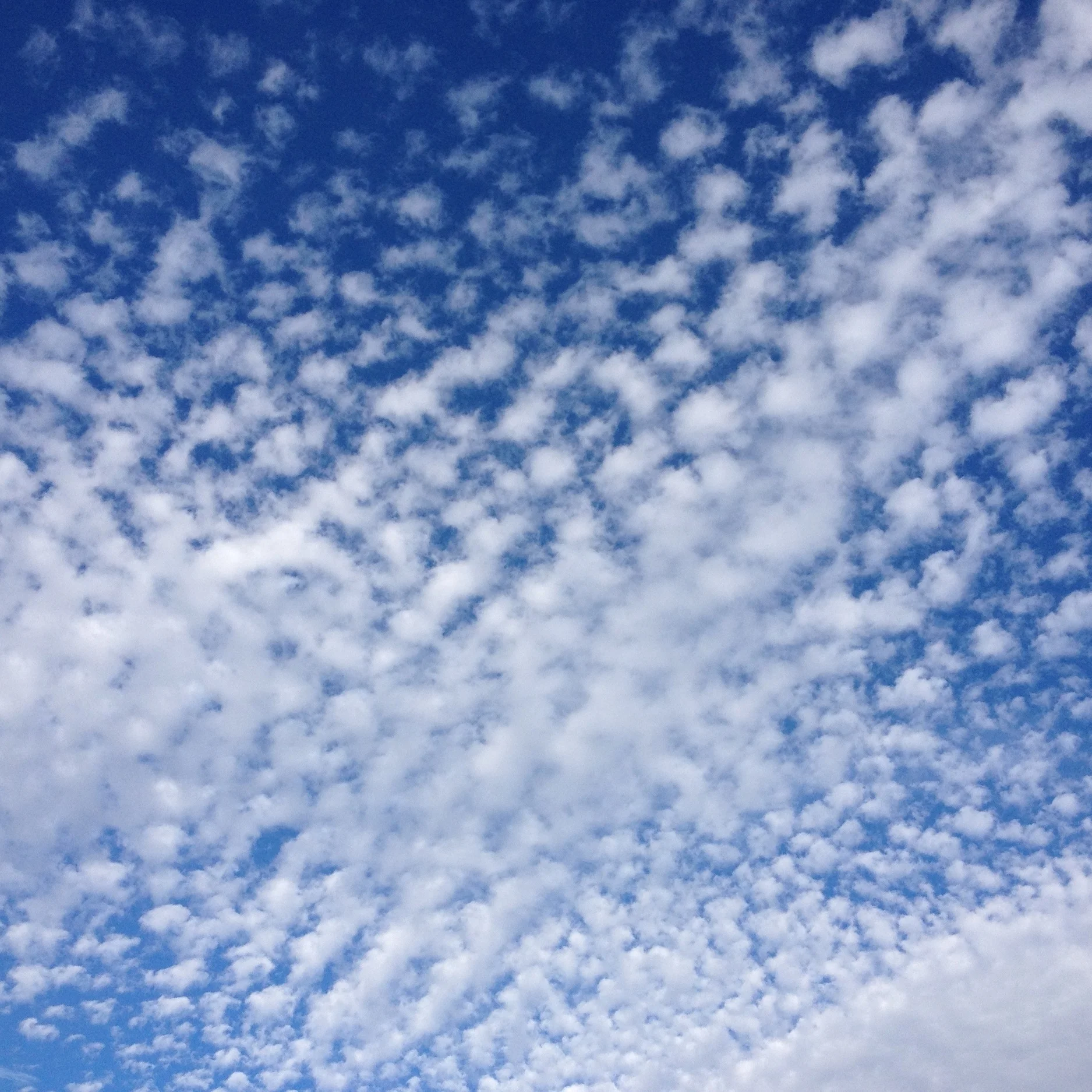 Monday Stories: Alice