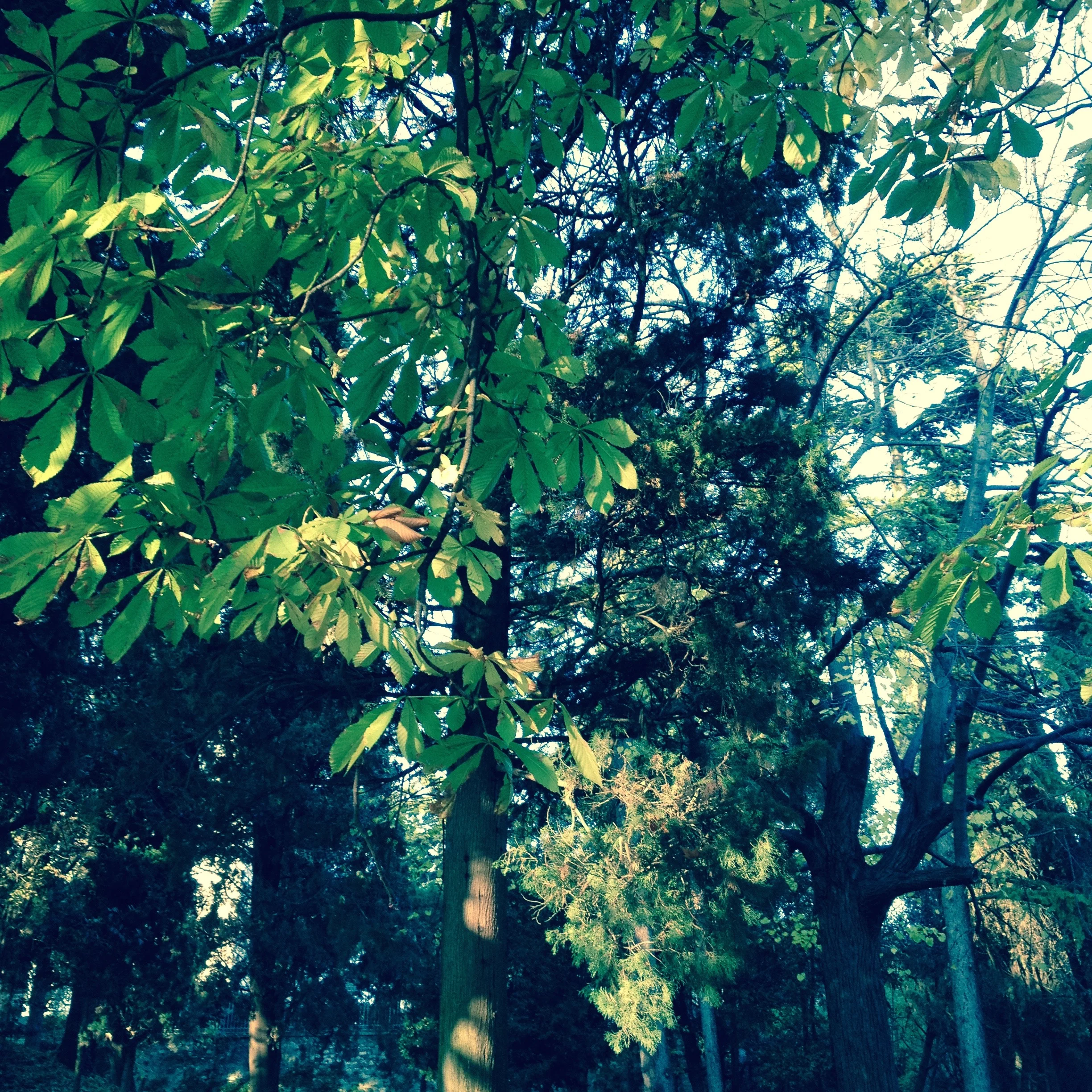 Monday Stories: Barrie and Holly