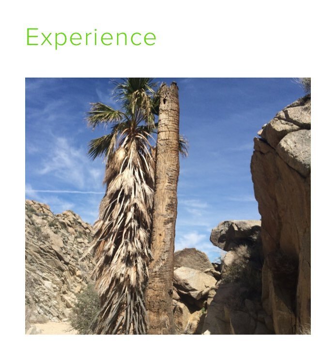Integrate into the desert lifestyle through taking part in authentic local attractions and festive happenings.