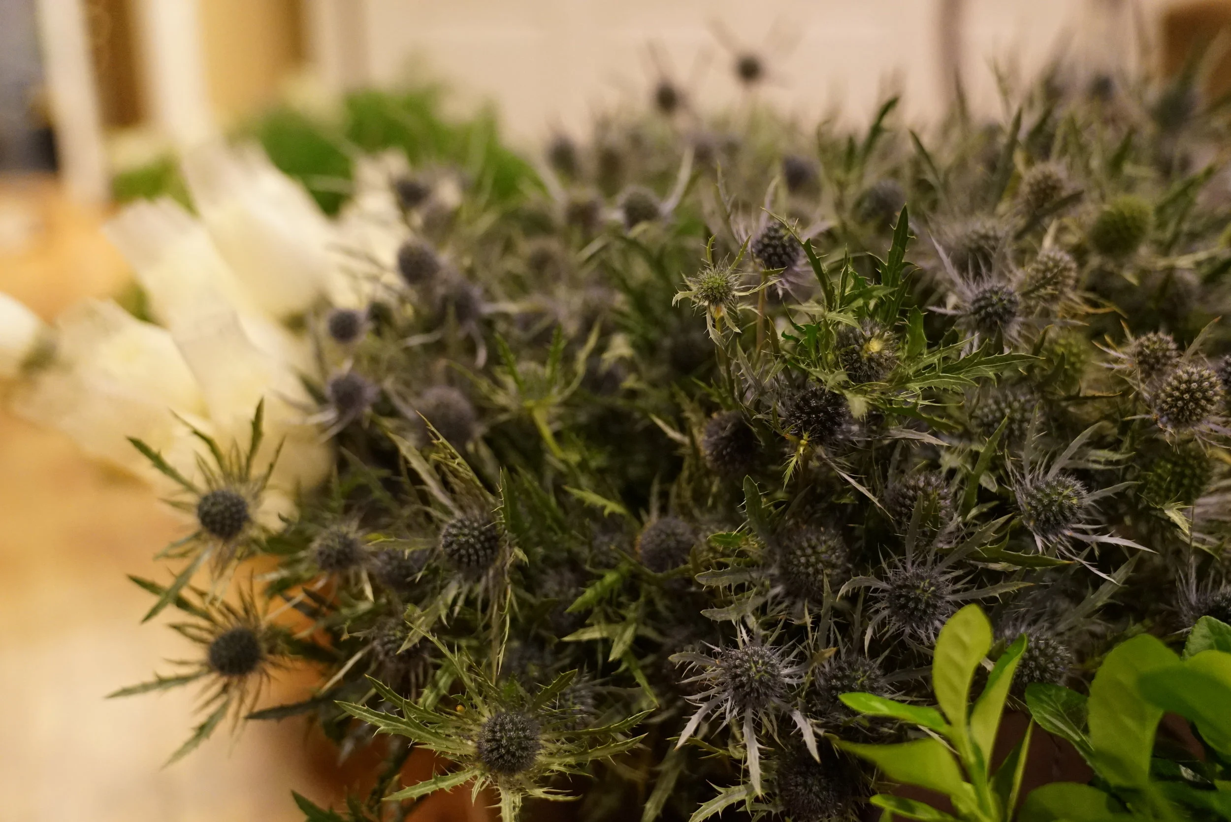  Blue thistle added a pop of delicate color to the bouquets and decorations. 