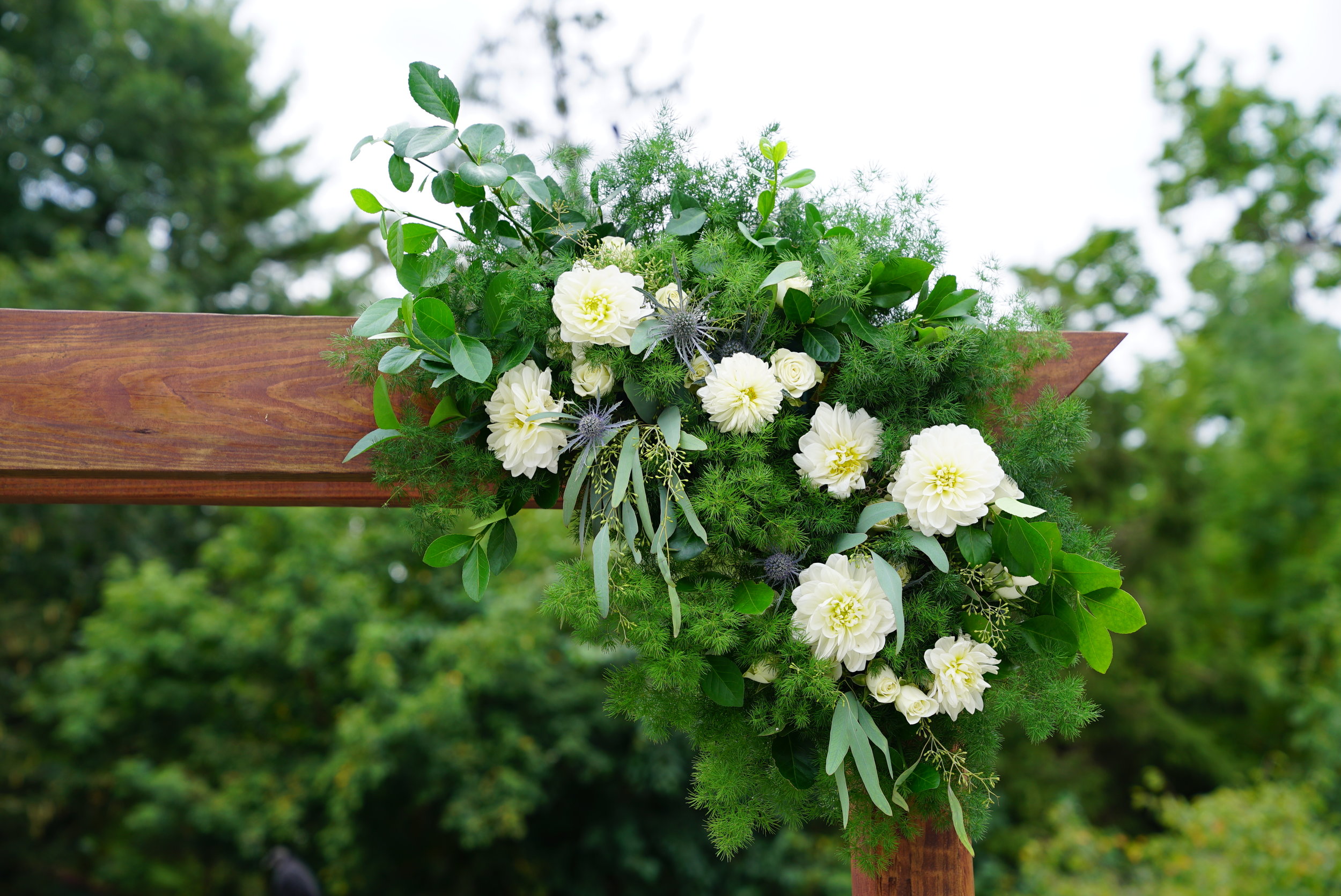  This was my first time working with Oasis Floracages. They provided a beautiful blank canvas for these Ming Ferns, Seeded Eucalyptus, and Dahlias. With the addition of some larger branches, they could be made more grandiose, but we stuck with simple