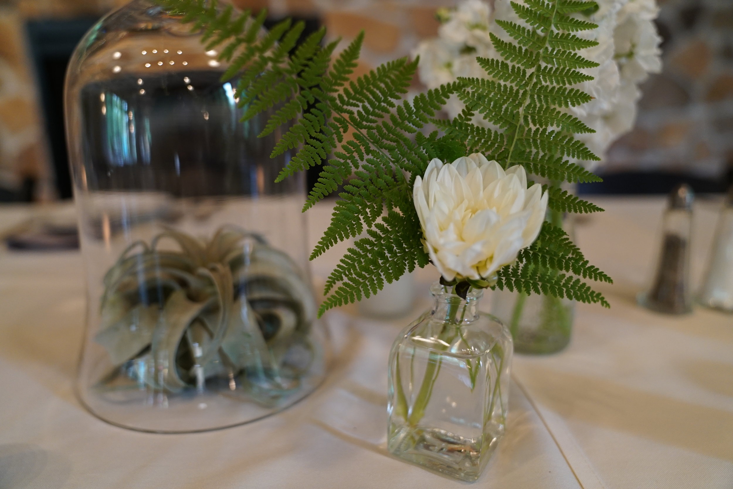  Dahlias, ferns and tillandsias on the head table. We set out vases for all the bridal bouquets so that they could get a drink of fresh water while everyone was dancing the night away.&nbsp; 