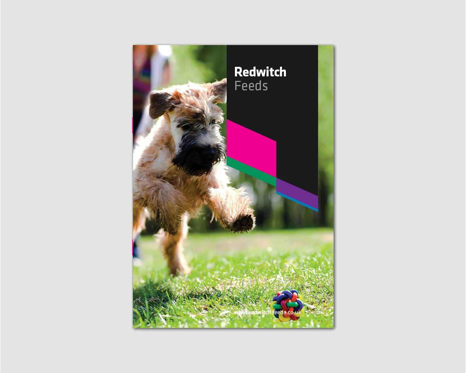 REDWITCH_Web_Images5.jpg