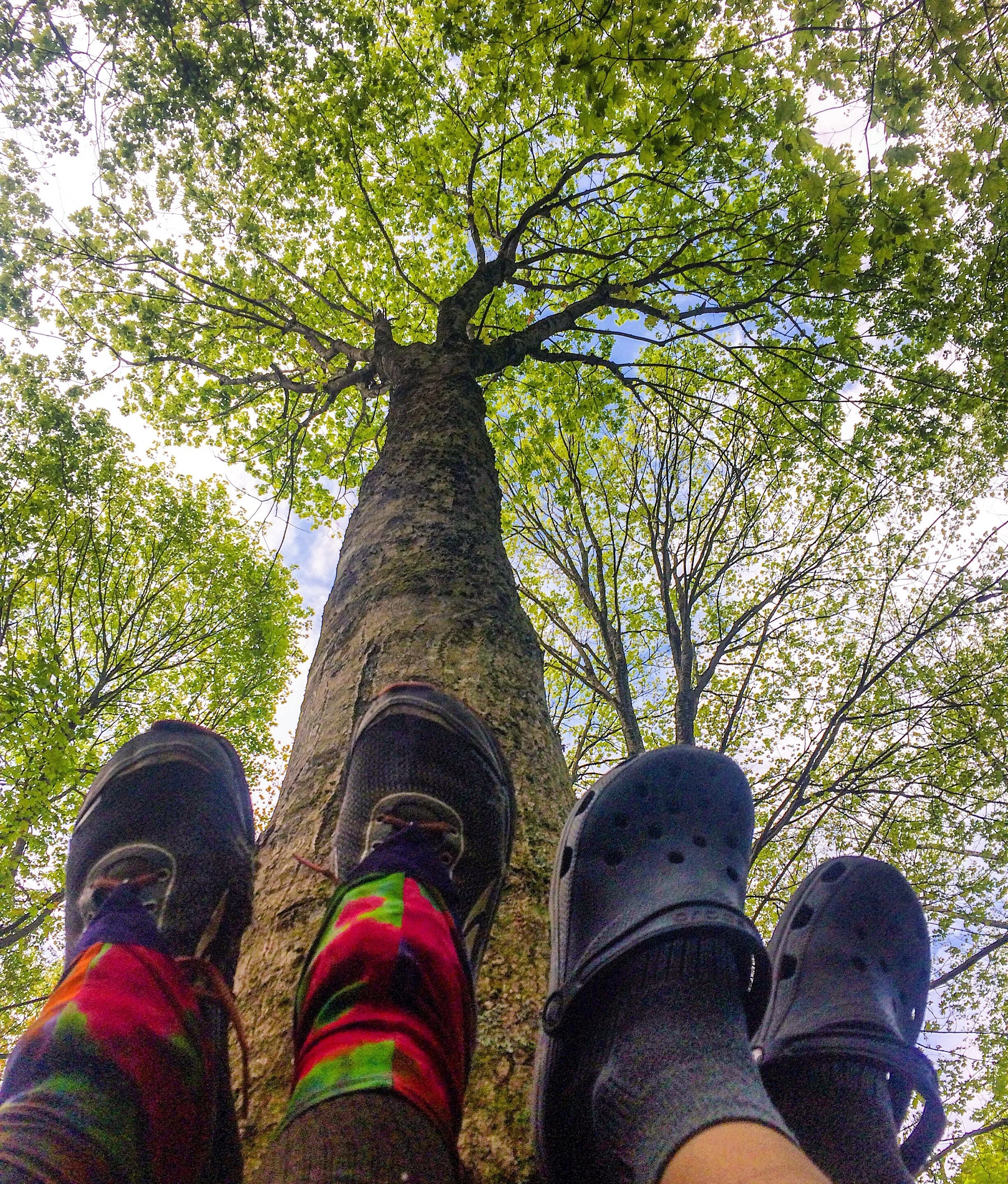 Nothin like a good legs up kind of snack break