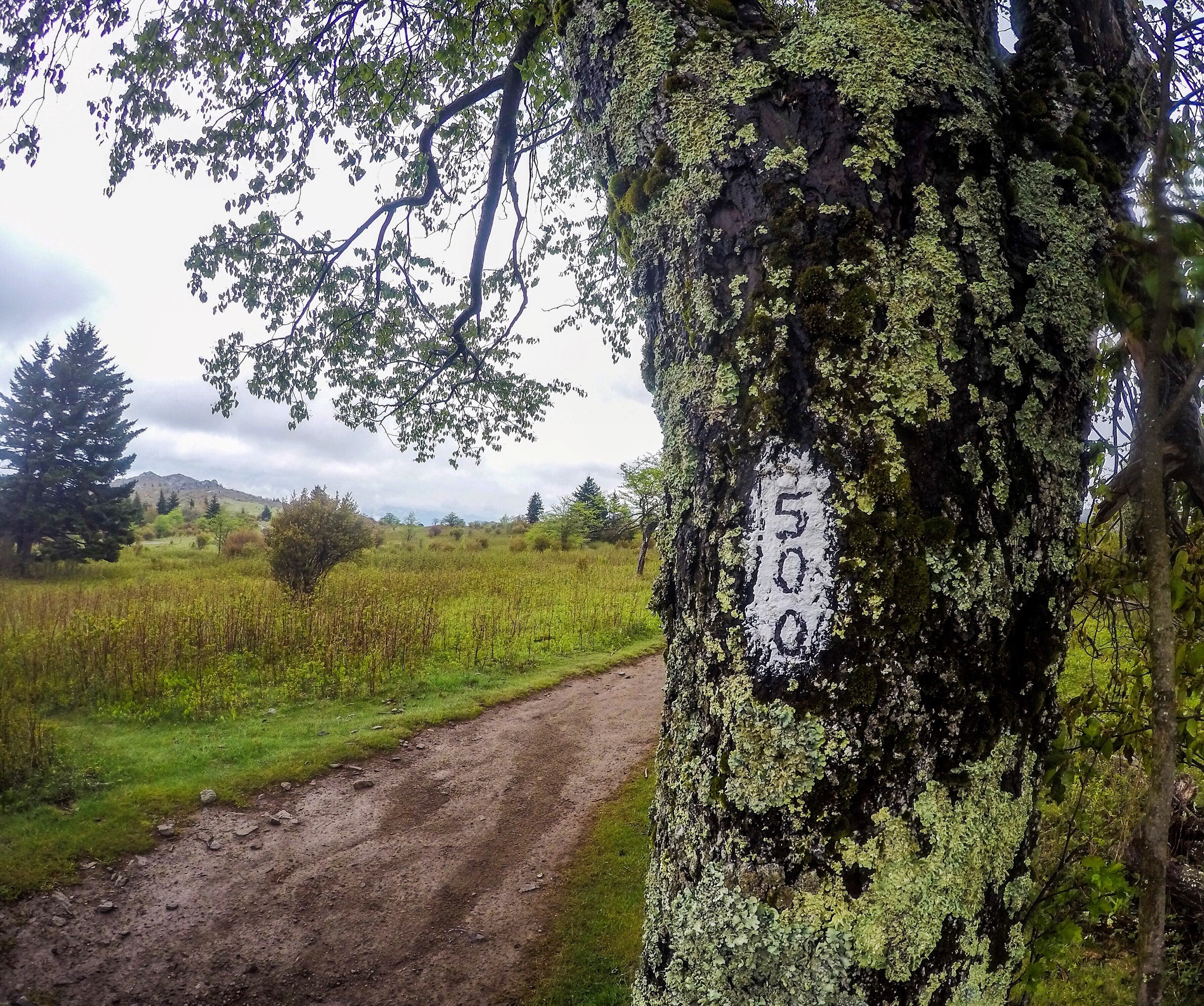 500 mile mark in the Greyson Highlands!