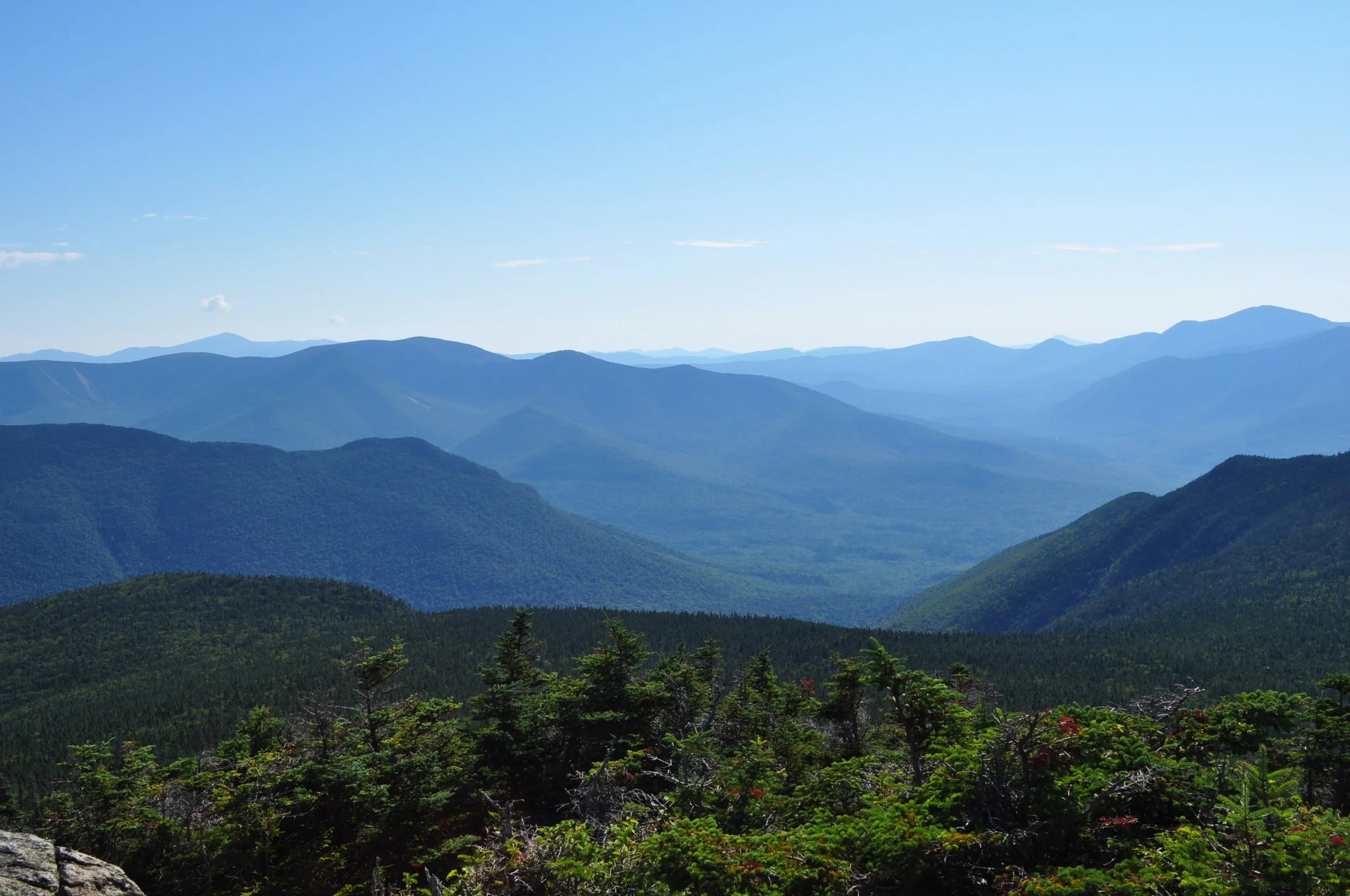 DSC_0483.jpg