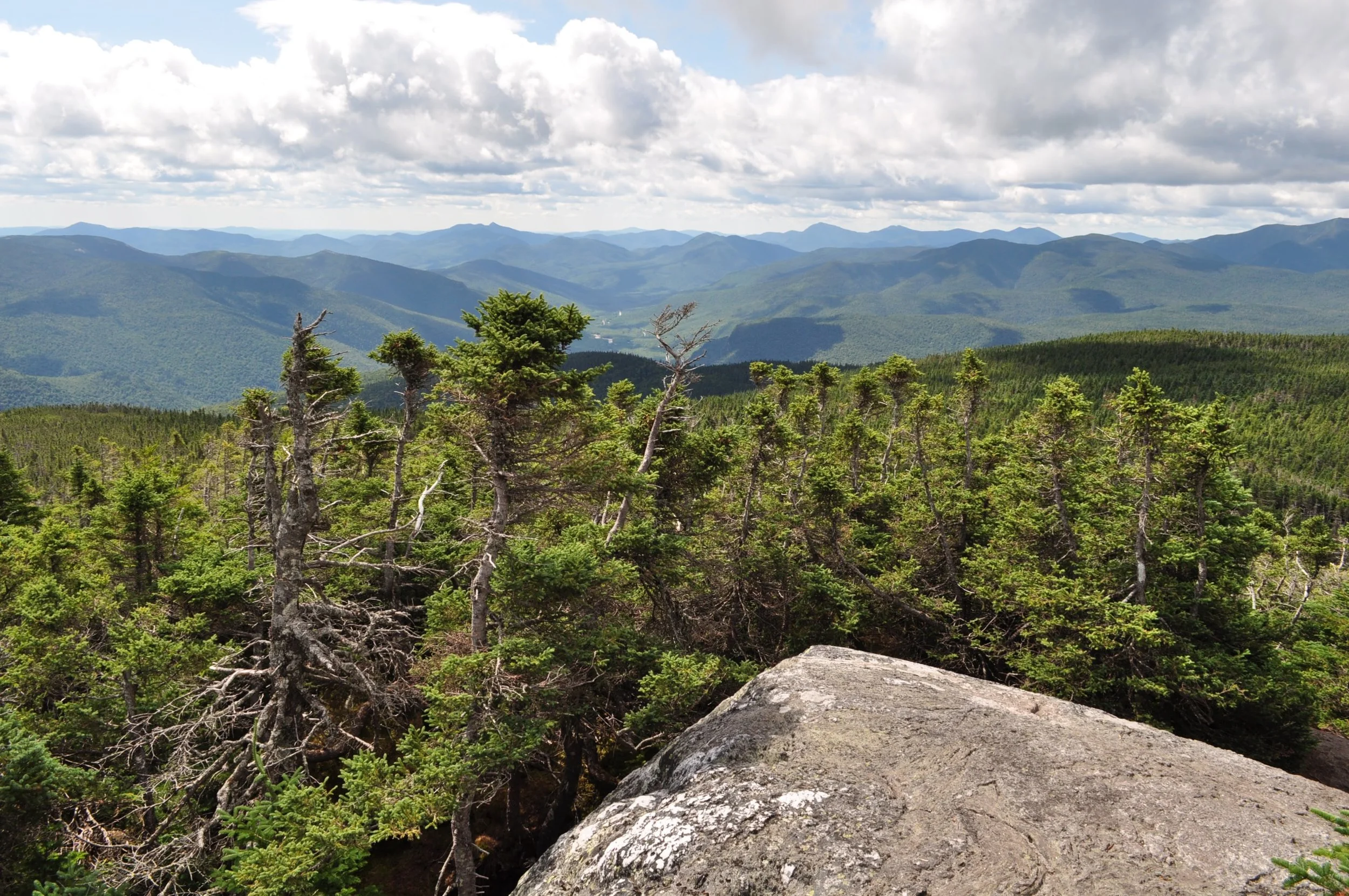 DSC_0825.jpg