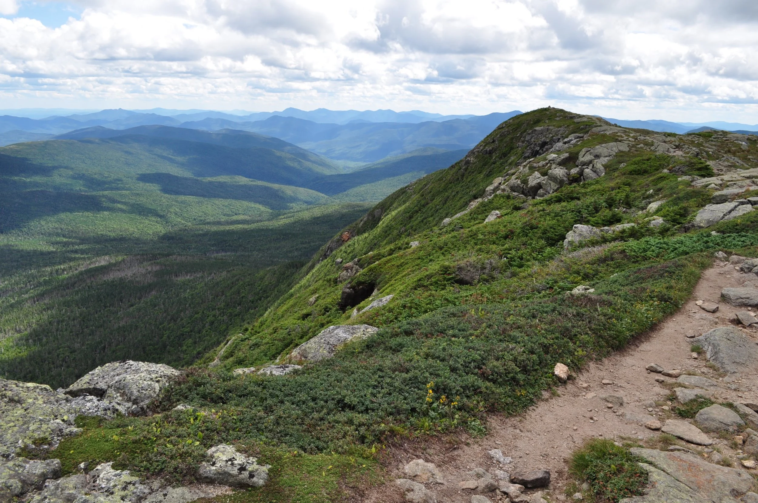 DSC_0967.jpg