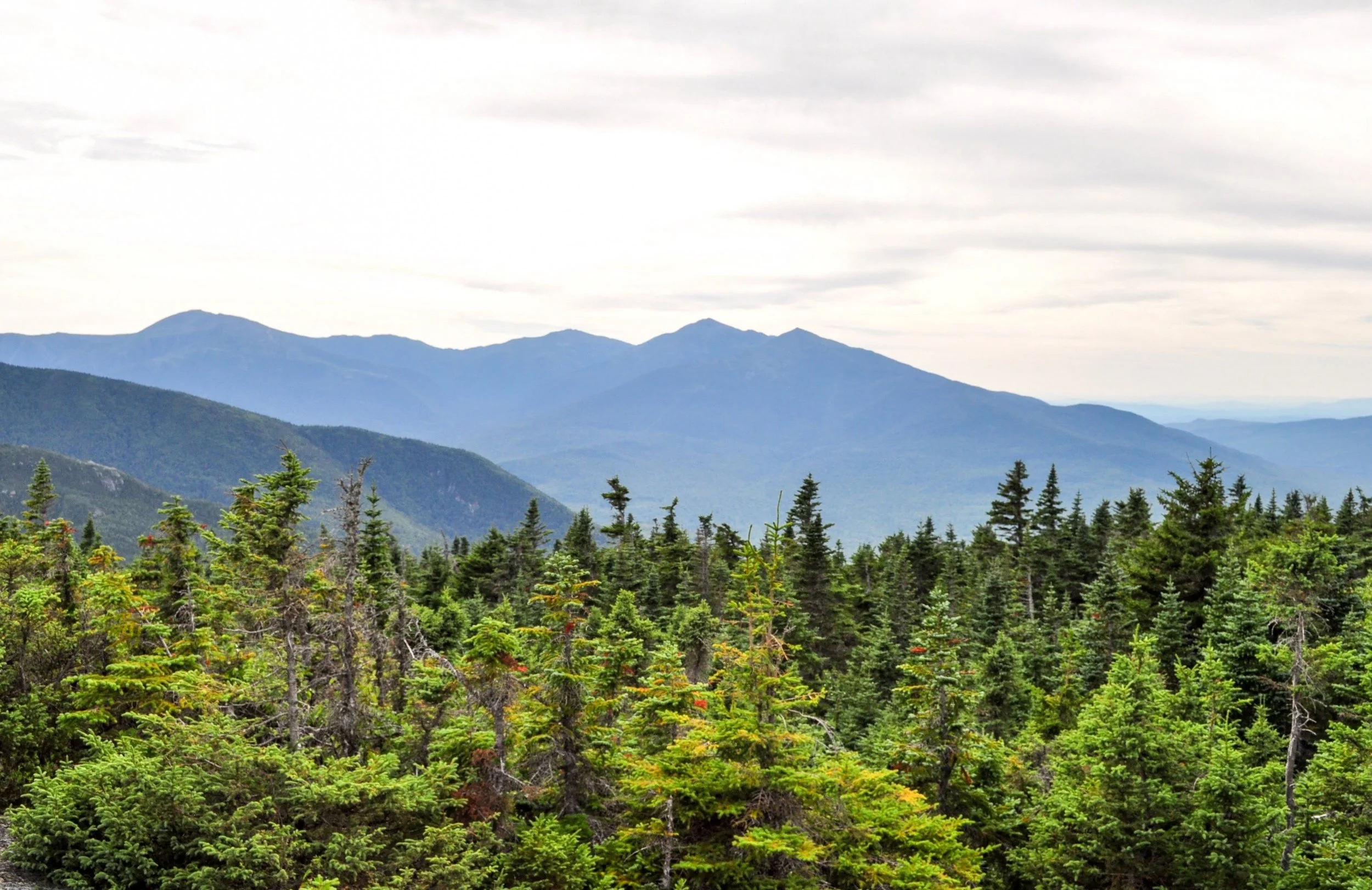 DSC_1079.jpg