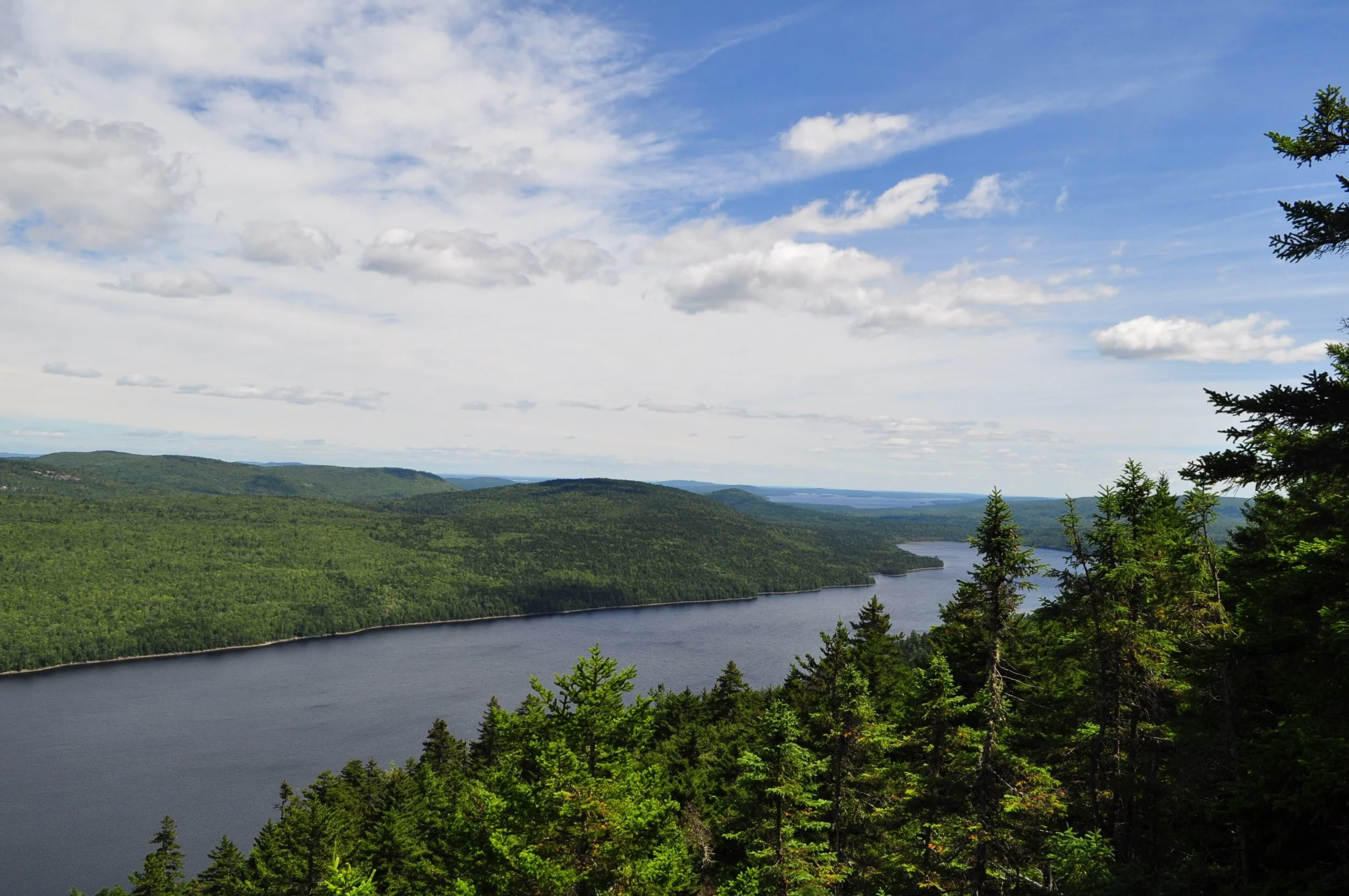 DSC_0091.jpg