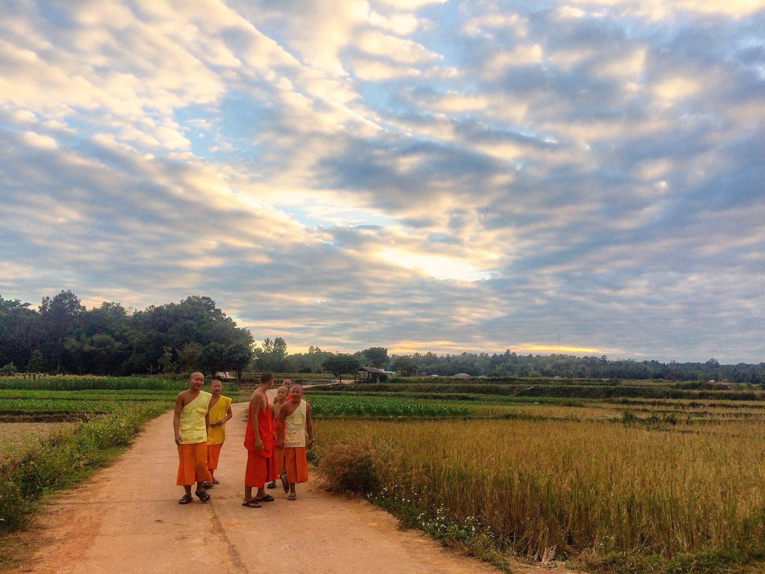 Just some monks walking around town