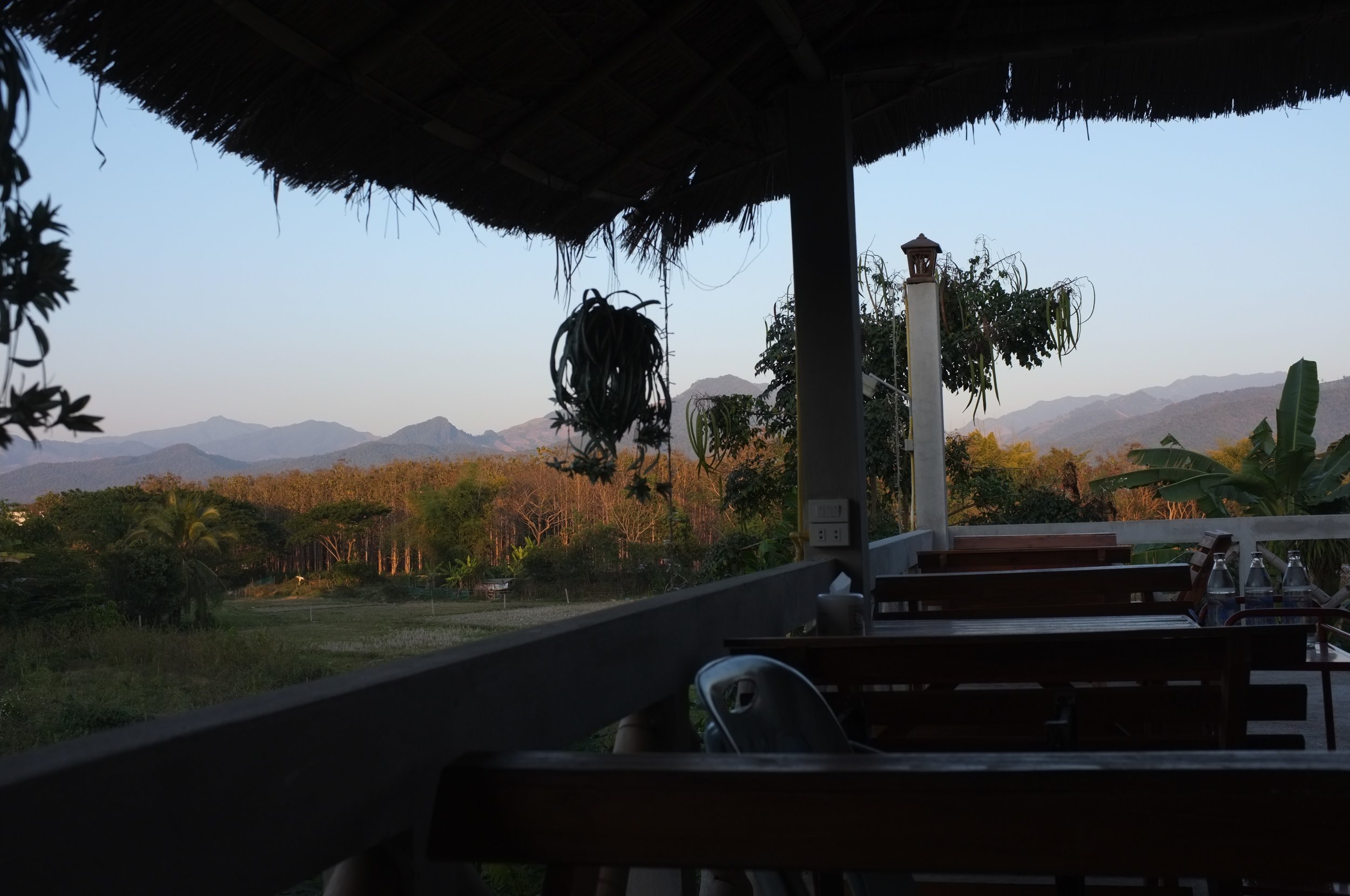 Dinner with a view