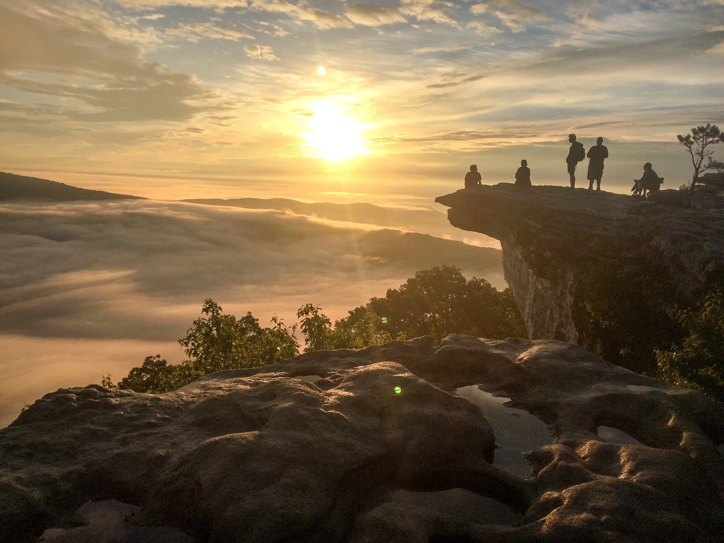 Week 8: Beauty & Bugs