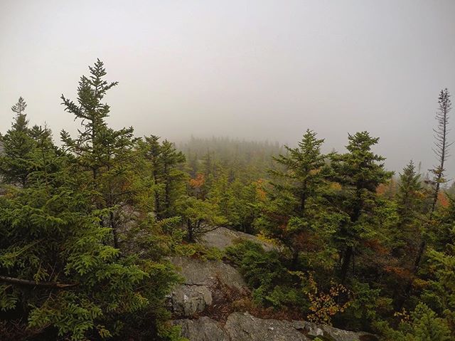 We can imagine hiking up Camel&rsquo;s Hump would&rsquo;ve been gorgeous views the whole time but at least it wasn&rsquo;t raining!.
.
Sunshine&rsquo;s knee issues, that started last week, reached a breaking point. While not serious, pushing miles ev