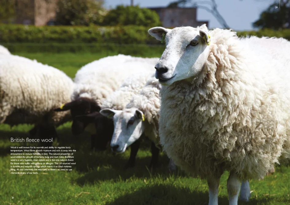 Natural Collection Brochure Pages 19.jpg