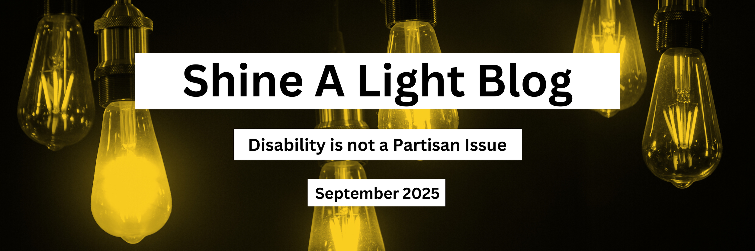 Disability is not a Partisan Issue — MISILC