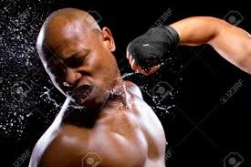 boxer.jpeg