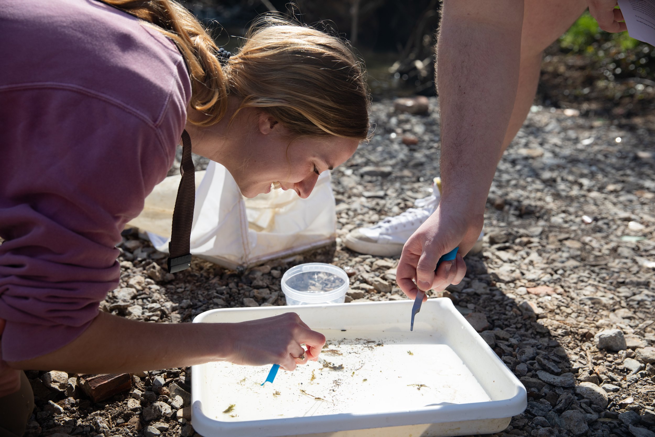 03042022_Field Lab-1.jpg