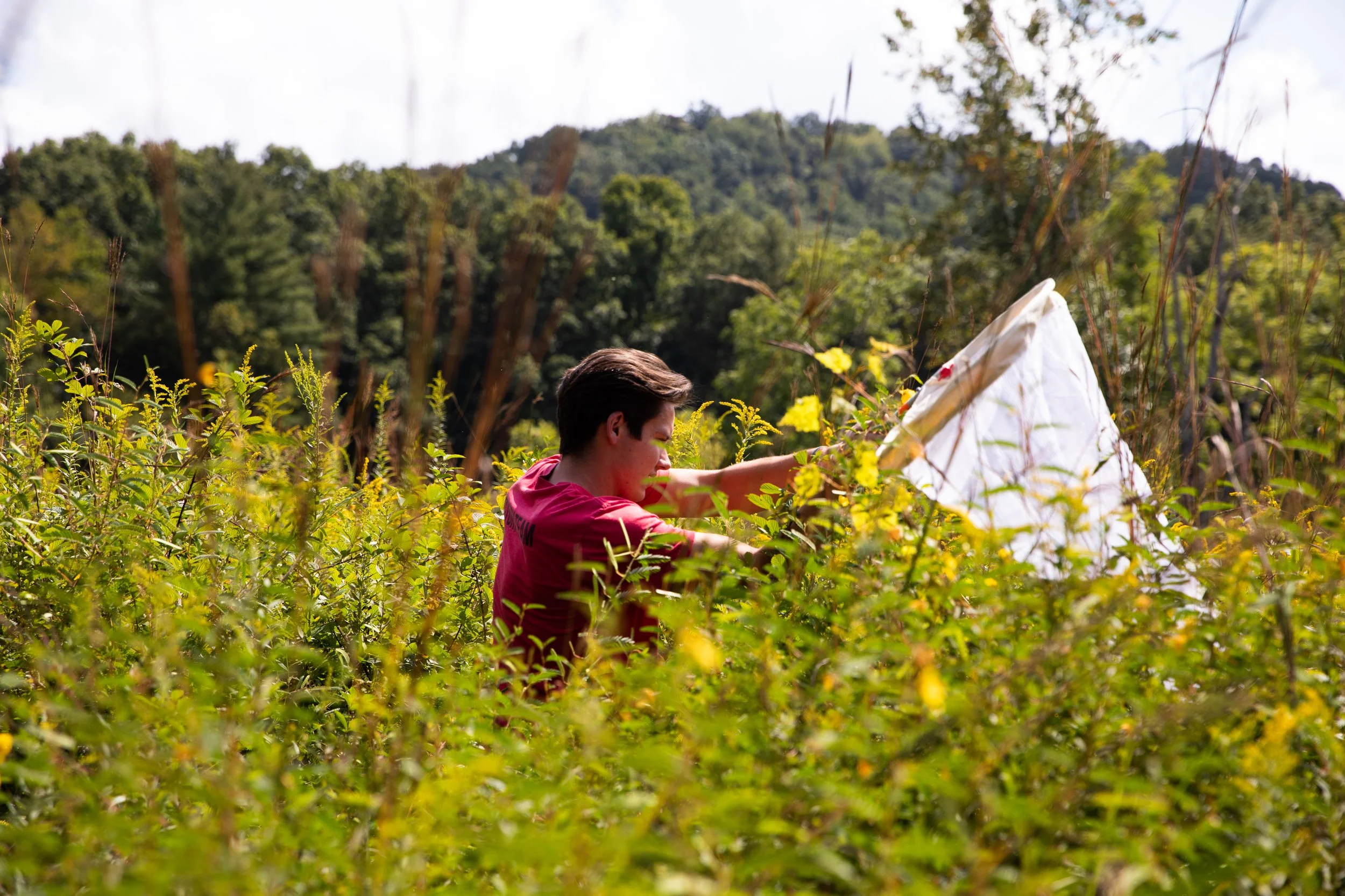 09142021_Ecology Lab-1.jpg