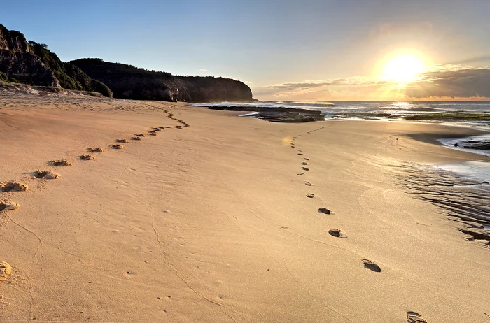 Be Yourself! The Call of a Christian (Fr. Mauritius Wilde, OSB, Ph.D.)