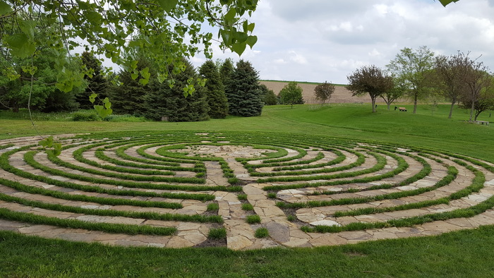 Walking in Wonder (Margie McMenamin Walker)