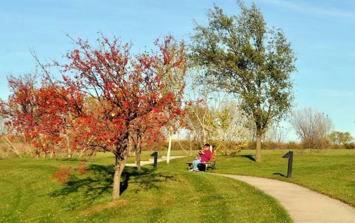 Gratitude (Br. Tobias Dammert, OSB)