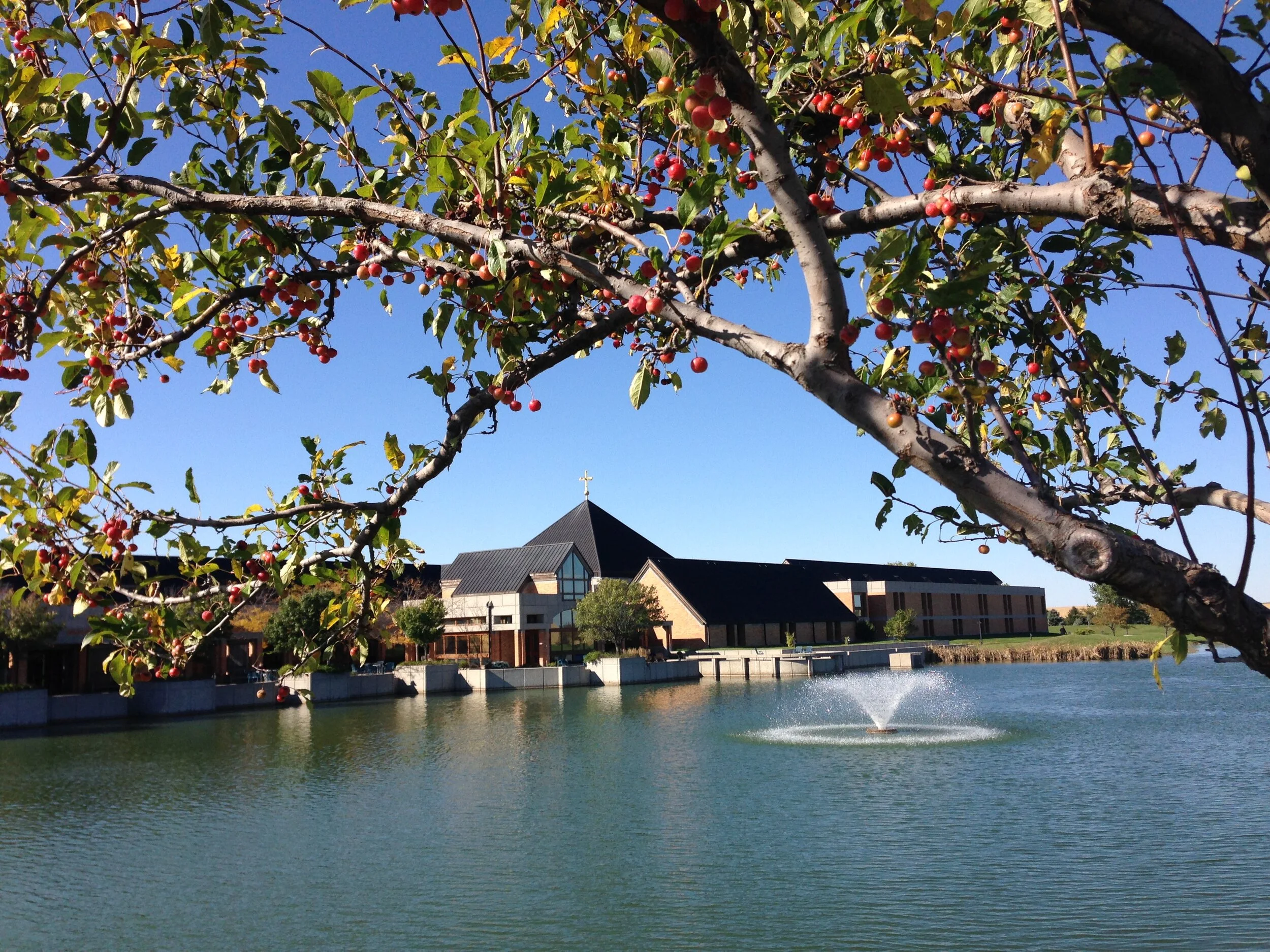 Finding God Later in Life (Mary Eileen Andreasen, RN, M.S., M.A &amp; Sister Ann Marie Petrylka, OSM)