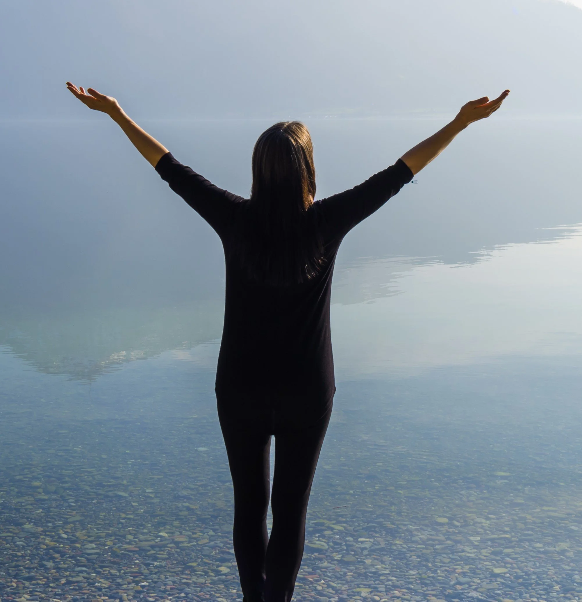 Meditation in Motion (Margaret Hoarty, RN, MSN, Beth Staenberg, OT)
