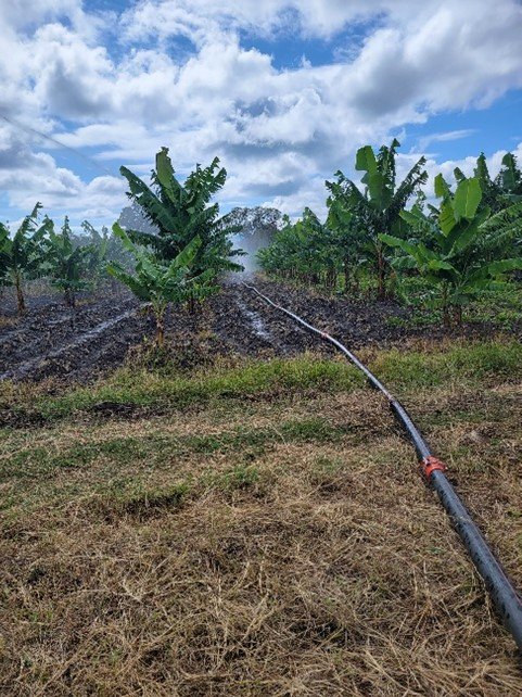 Irrigation for garden &amp; banana Plantation - Mvimwa