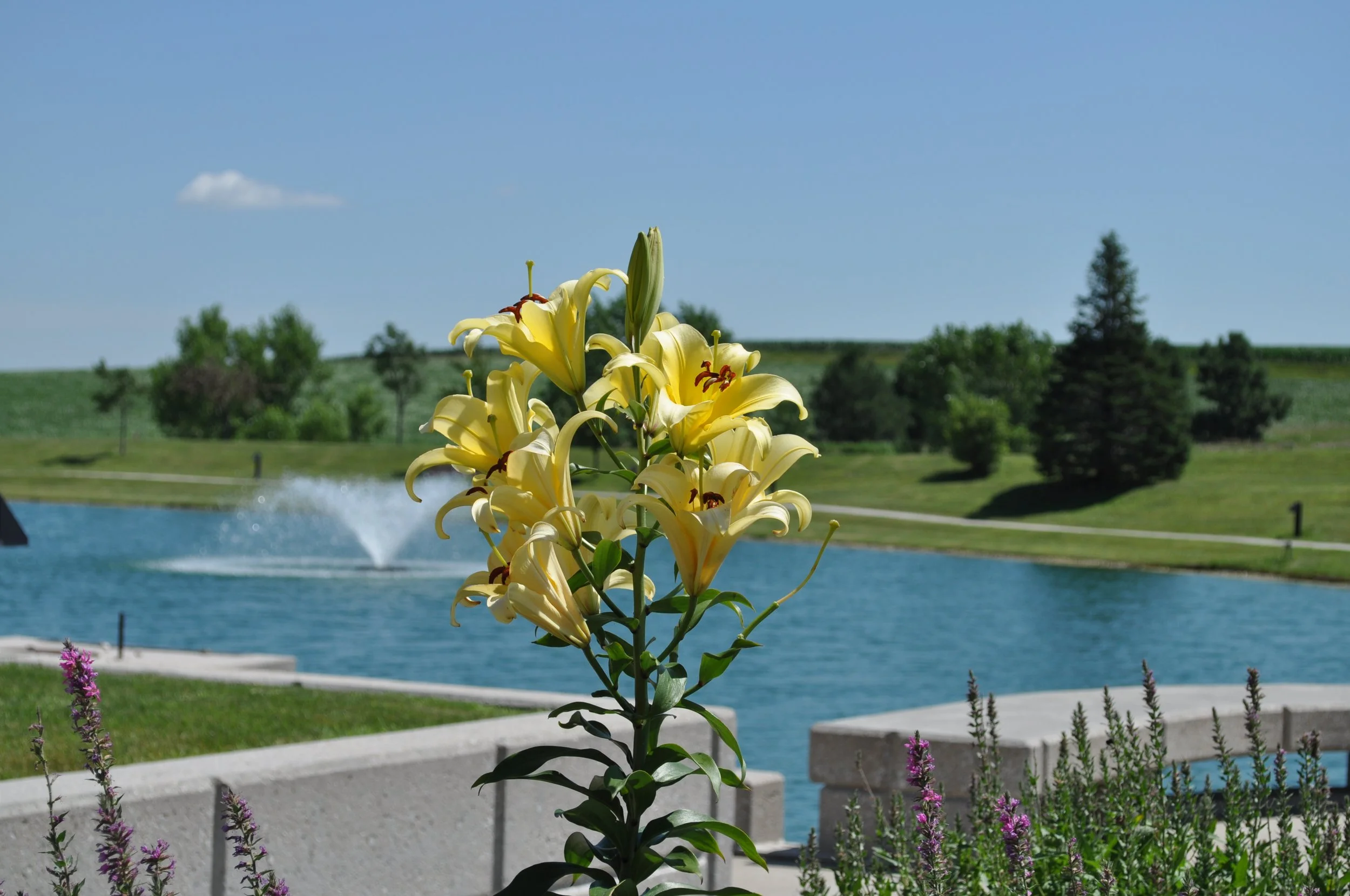 The Art of Self-Care (Father William J. Jarema, MS, MDiv, MAS)