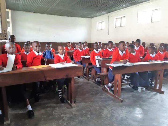 Primary School Students in classroom