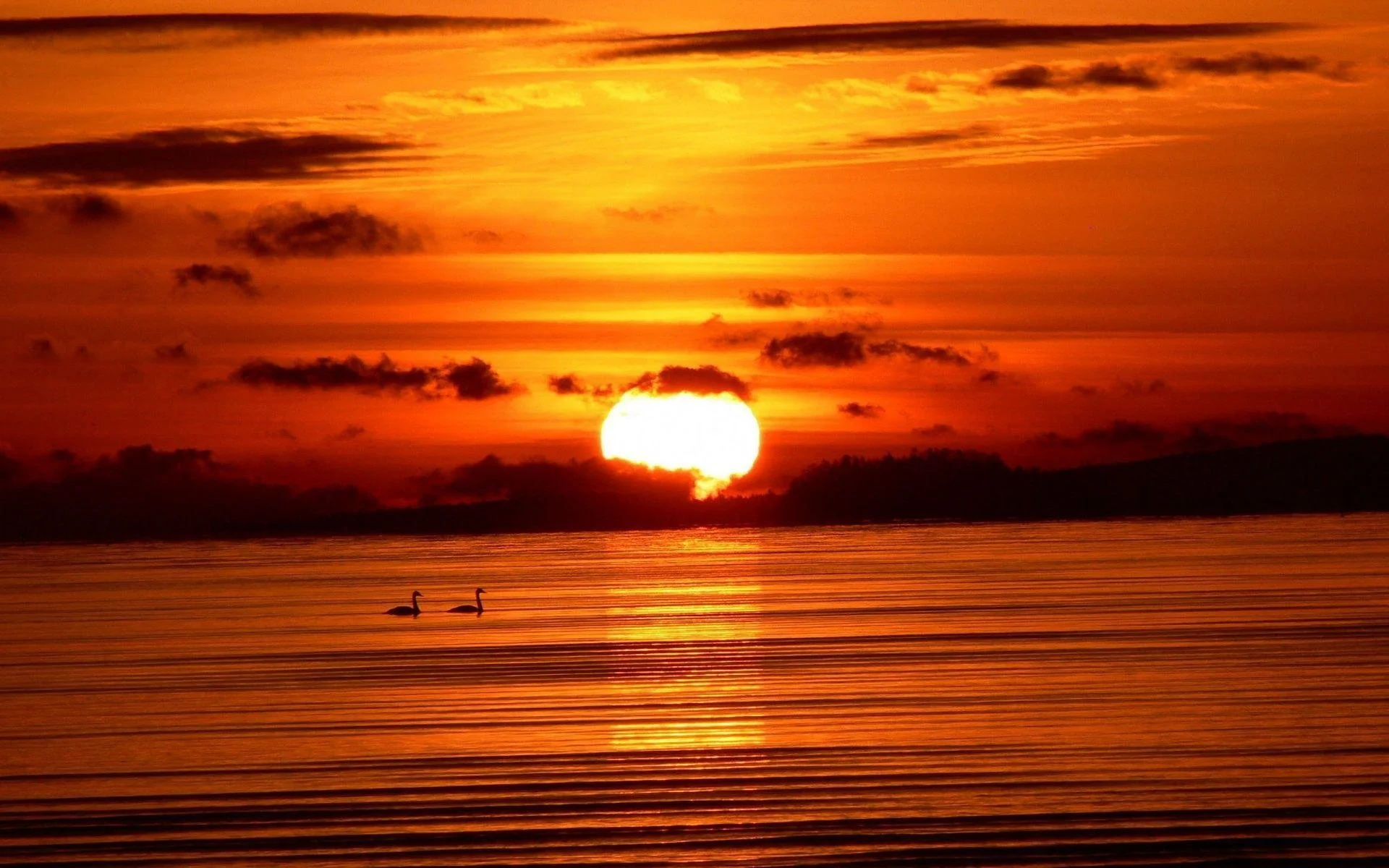 The Sun: Our Source of Life (Fr. Christoph Gerhard OSB)
