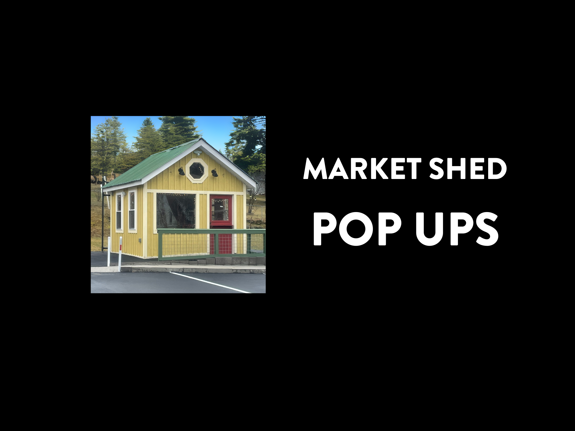 Untitled design (2).png