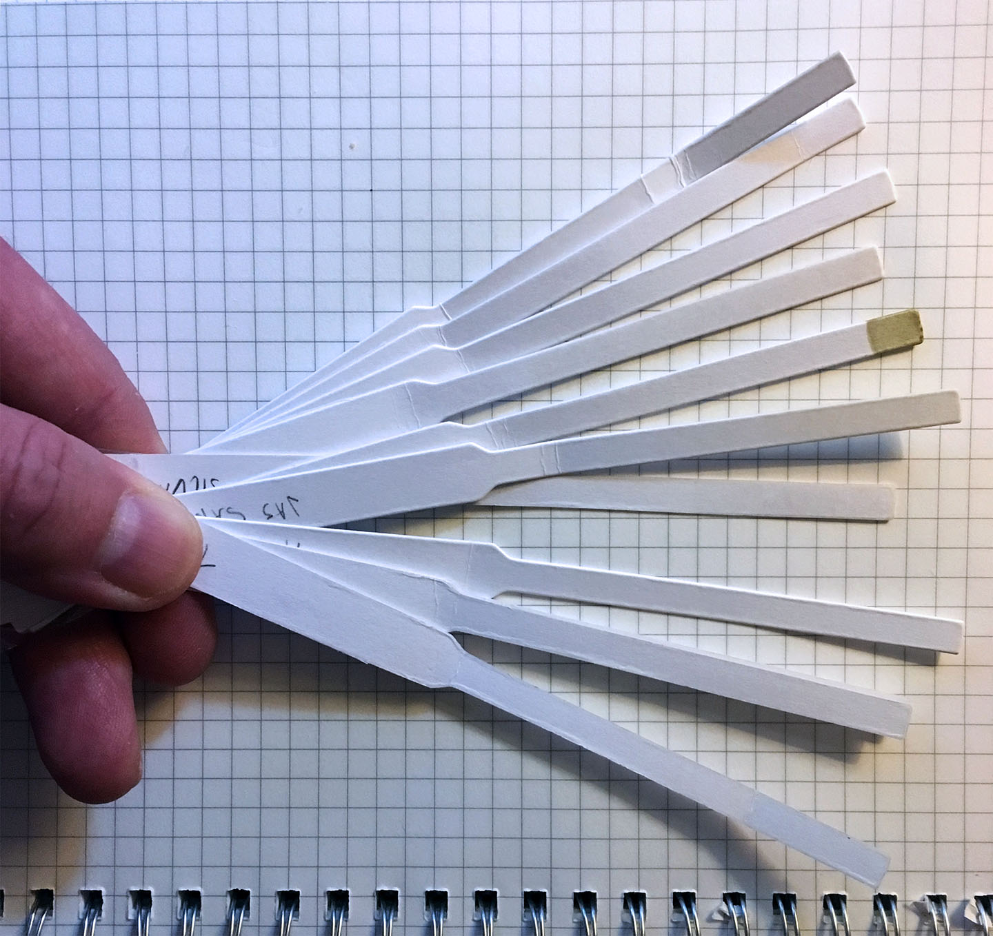 Smelling strips of components for the new fragrance, June 2017.