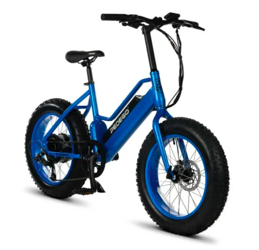 RVA on Wheels Pedego Element Electric 