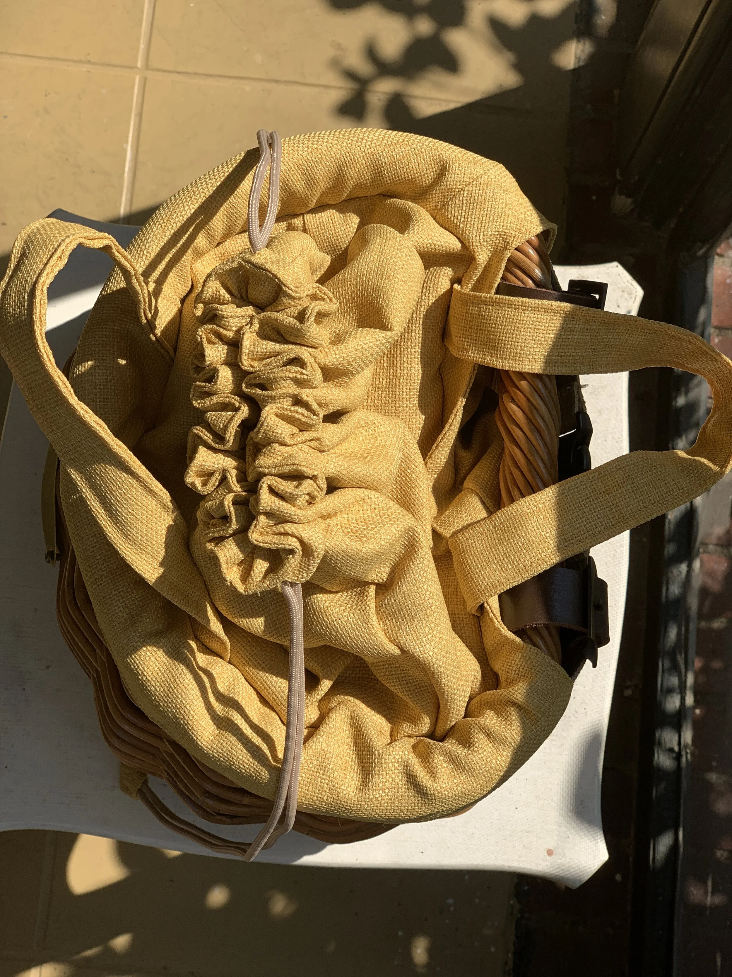 Cisco_Classic_Maize_Birds Eye View.JPG