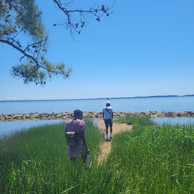 bike coastal Jamestown Island and Williamsburg Winery — BASKET & BIKE