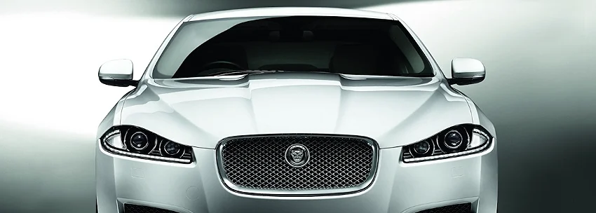 JAGUAR1.jpg