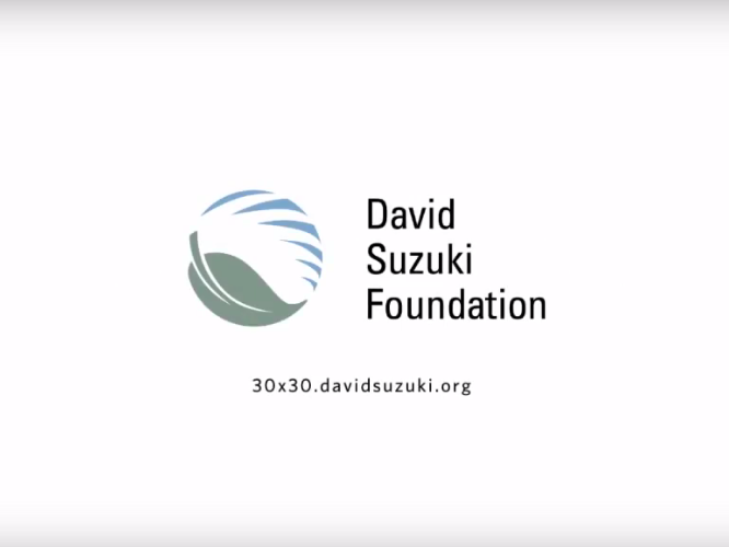 Screen Shot 2015-11-18 at 2.42.08 PM.png