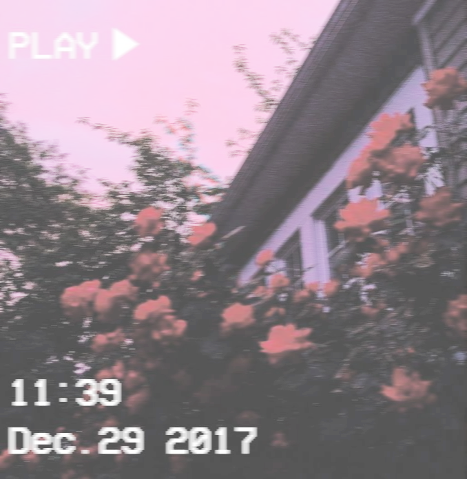 tumblr_p7ix7gLzJX1xqd7jpo1_1280.png