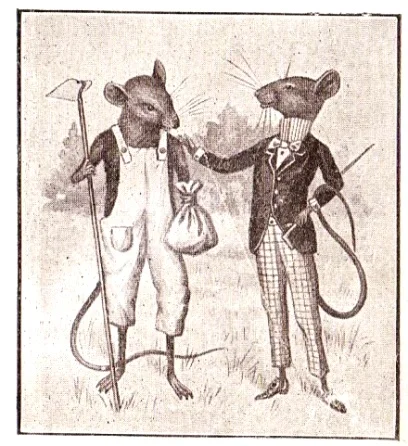 mouse-2.jpg
