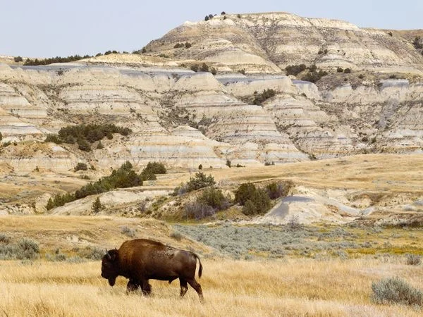 Theodore-Roosevelt-National-Park.jpeg