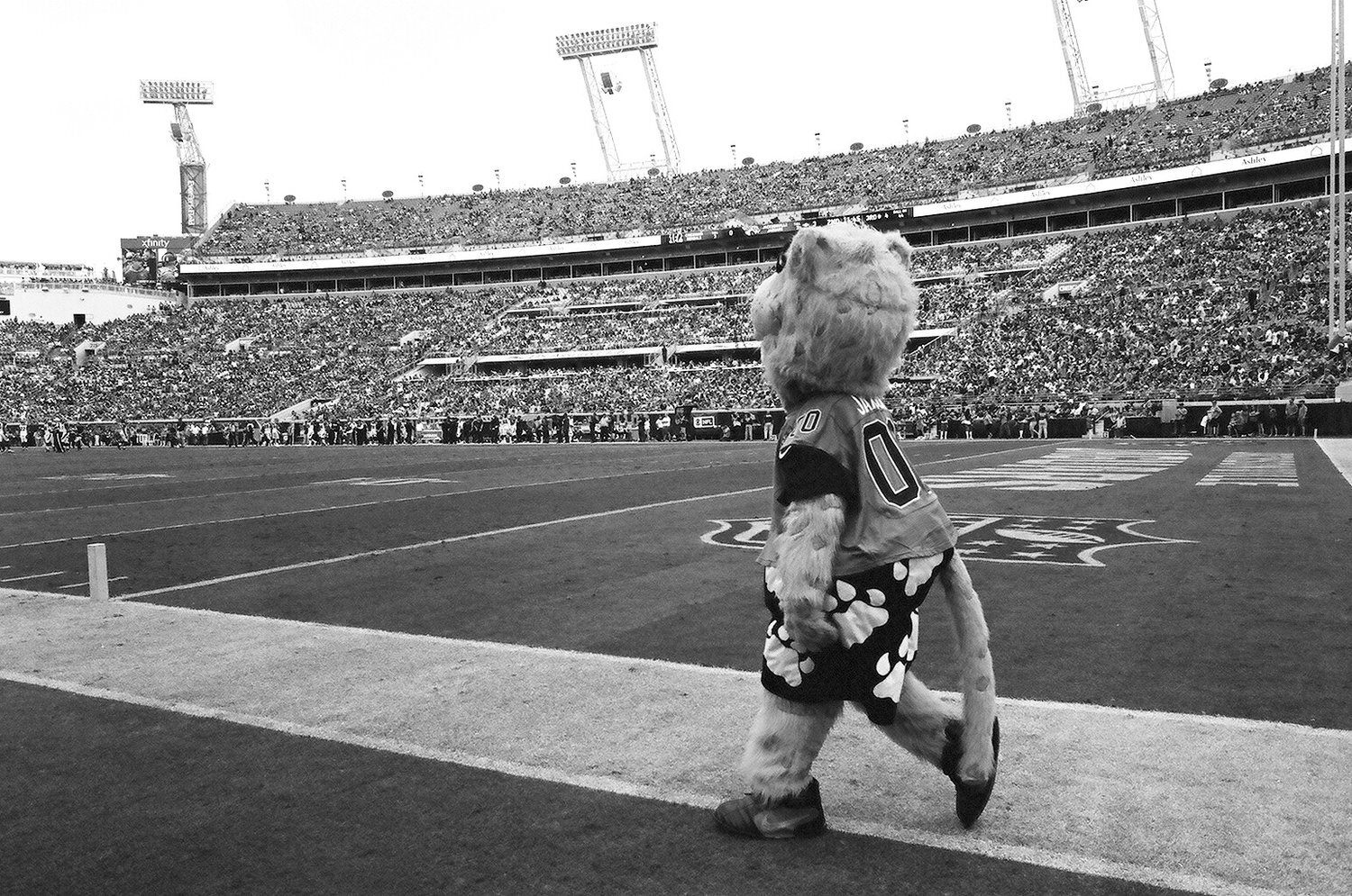 Taking Your Blood Pressure at Home with the St. Louis Blues Mascot