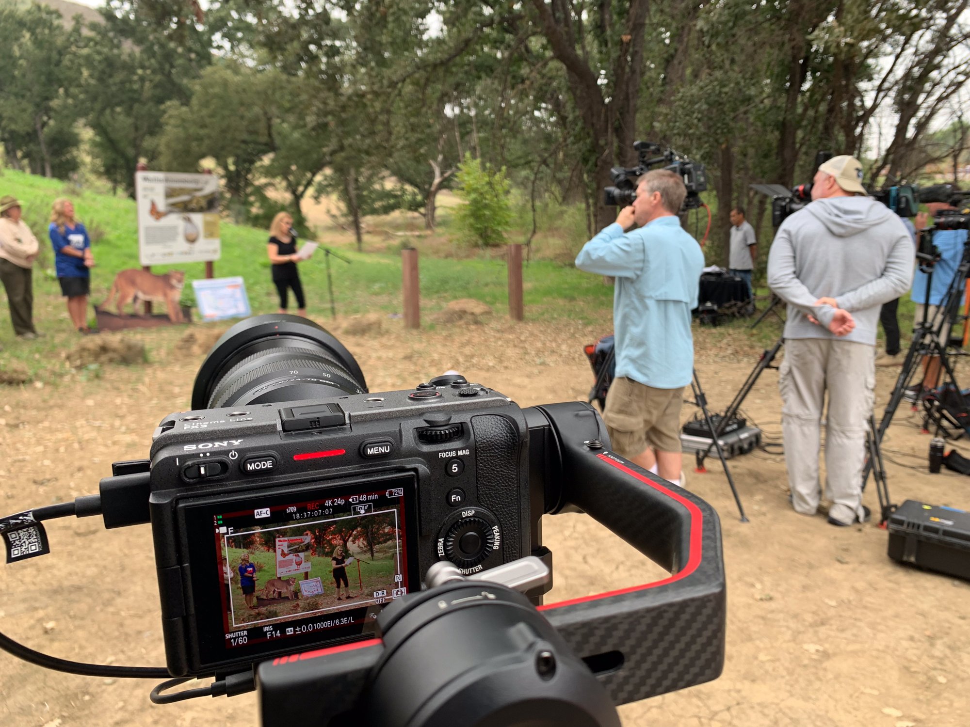 wild hope (1 of 2).jpg