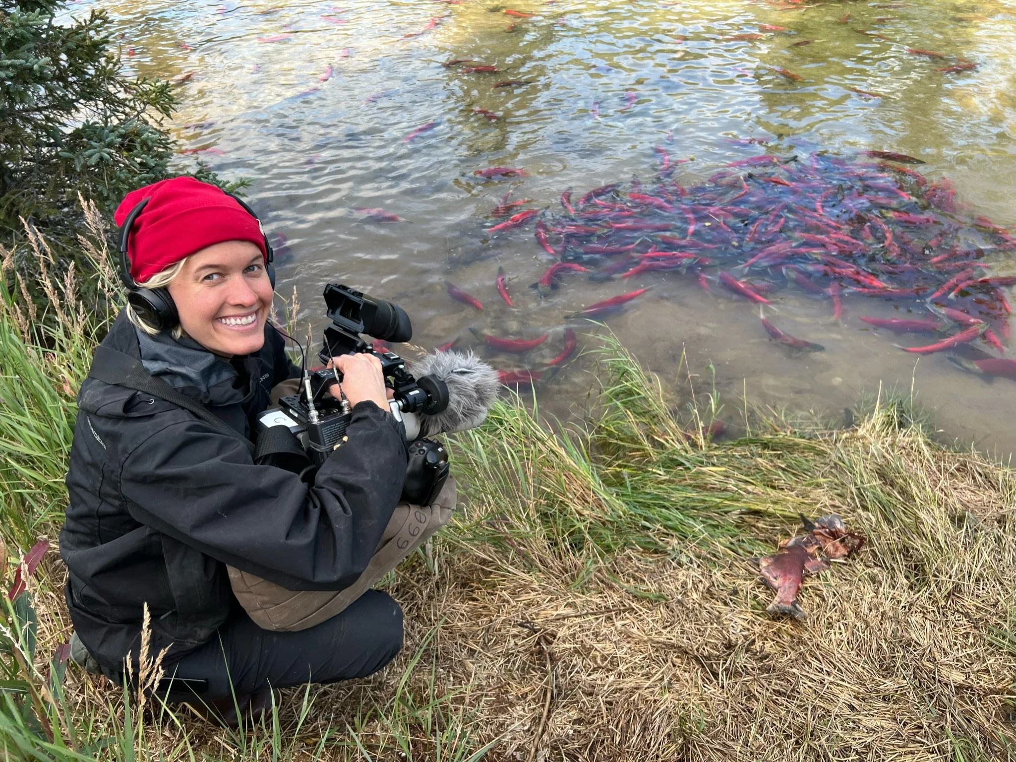 Lynn Cam Op Salmon Run.JPG