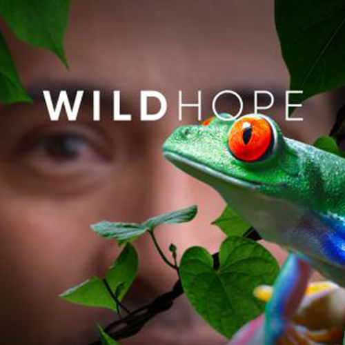 Wild Hope