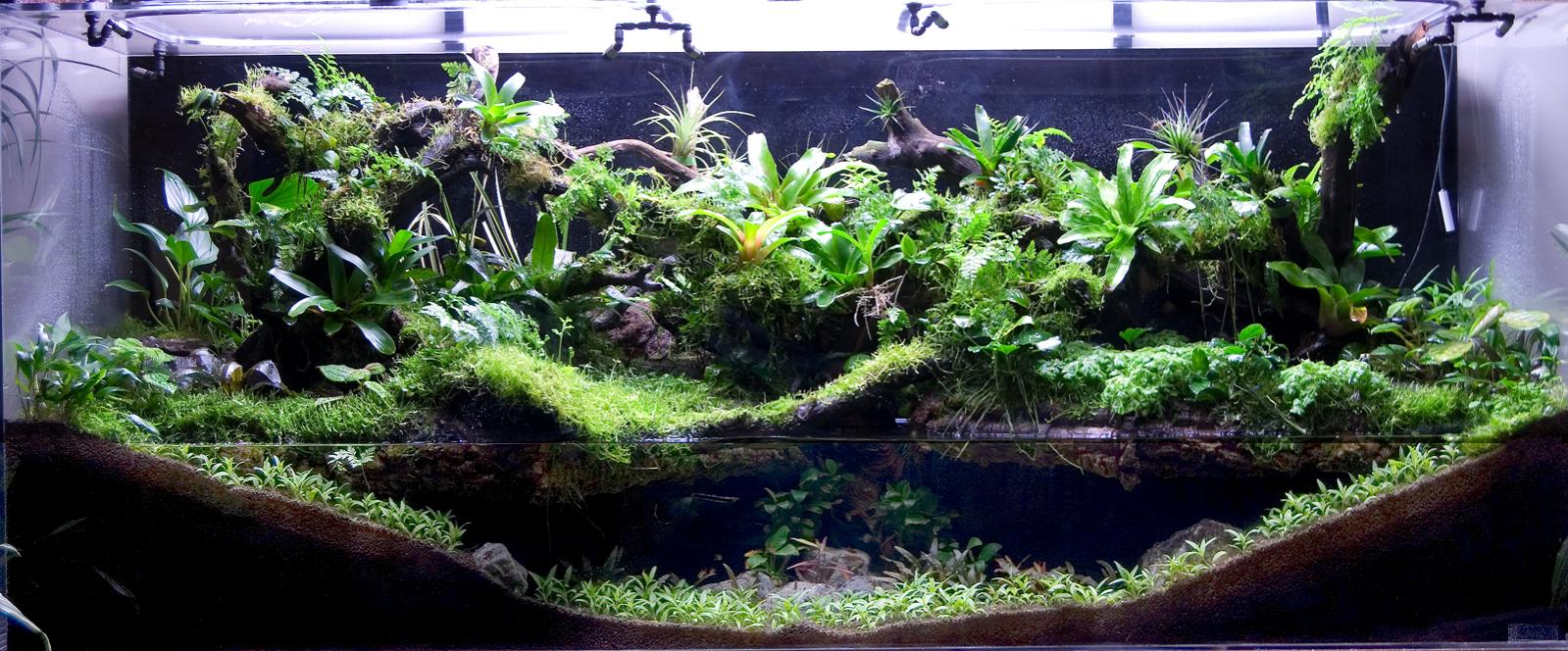 Aqua Landscaping